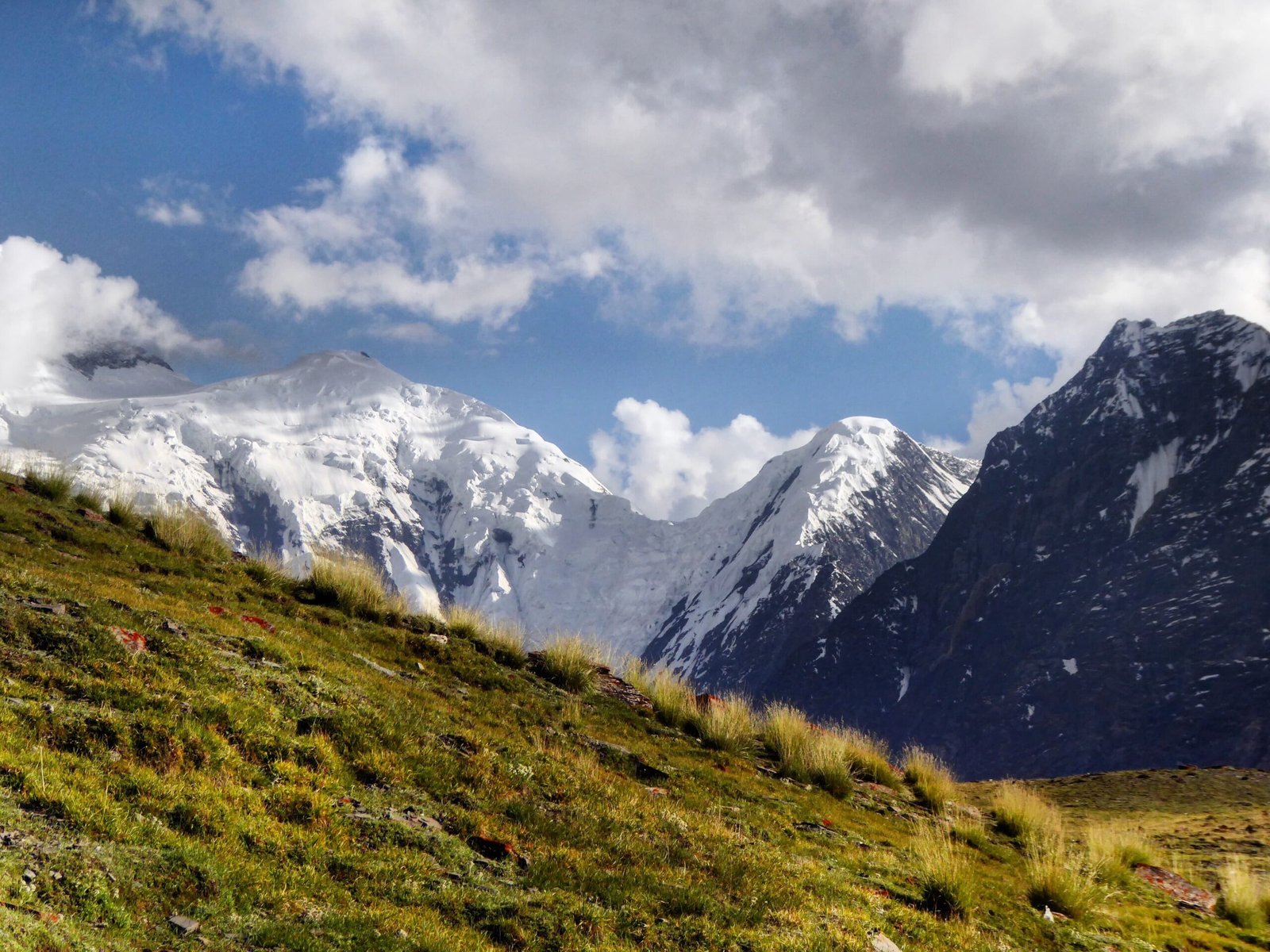 WhatsApp Image 2025 01 23 at 22.34.14 2 scaled